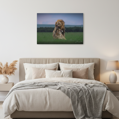Lion Pair in Tense Exchange — By Photographer Lukas Andersen