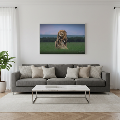 Lion Pair in Tense Exchange — By Photographer Lukas Andersen