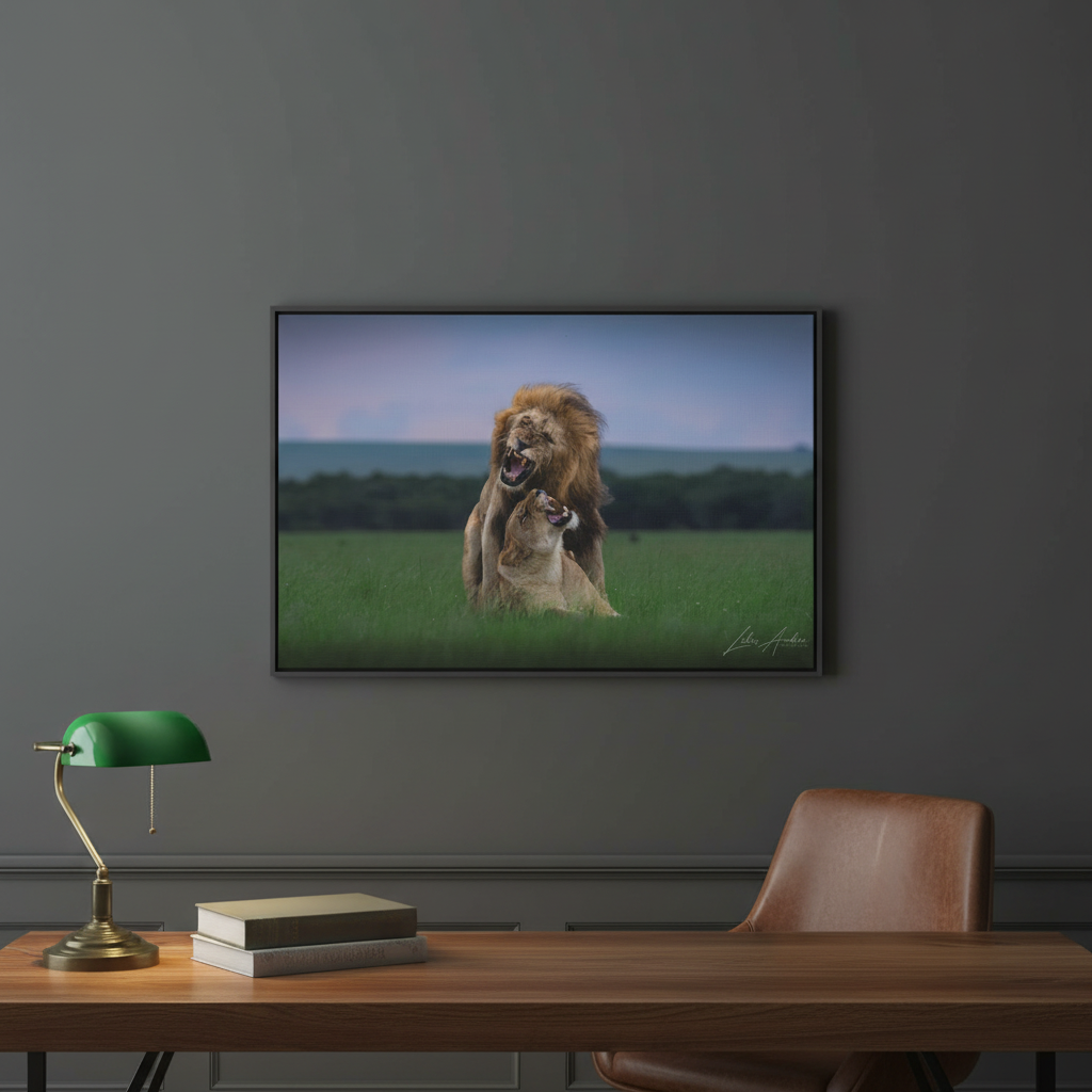 Lion Pair in Tense Exchange — By Photographer Lukas Andersen