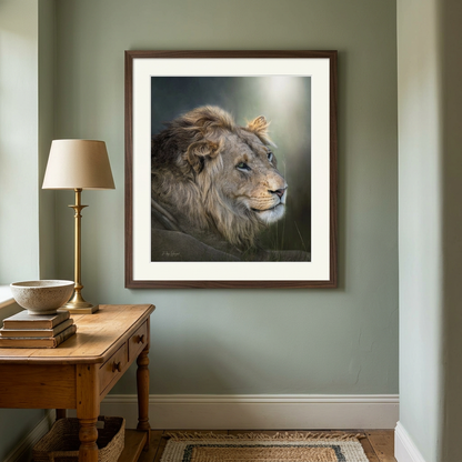 Lion's Gaze Fine Art Print | By Photographer Patsy Weingart