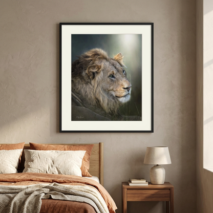 Lion's Gaze Fine Art Print | By Photographer Patsy Weingart