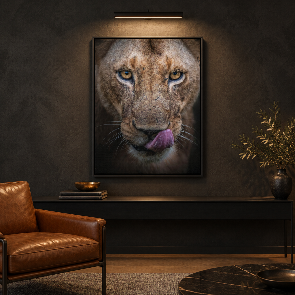 Male Lion Close‑Up Licking — By Photographer Patsy Weingart