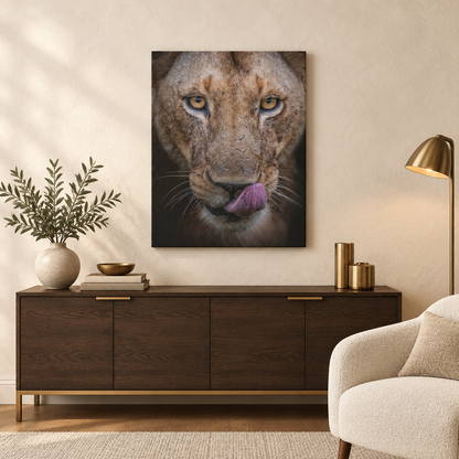 Male Lion Close‑Up Licking — By Photographer Patsy Weingart