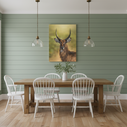 Waterbuck Portrait at Dusk – By Photographer Patsy Weingart