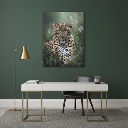 Leopard in the Grass – By Photographer Patsy Weingart