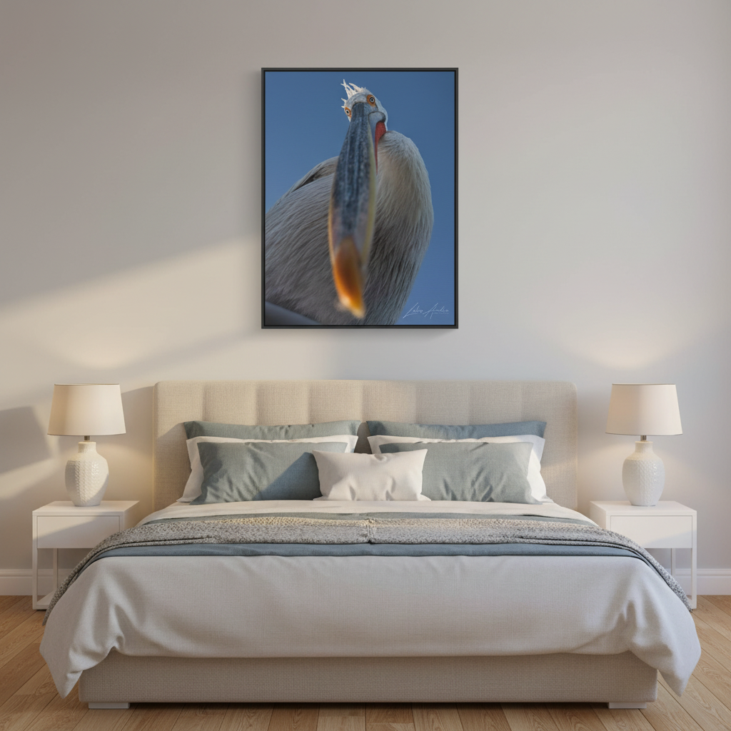 Pelican Gaze Against Open Sky — By Photographer Lukas Andersen