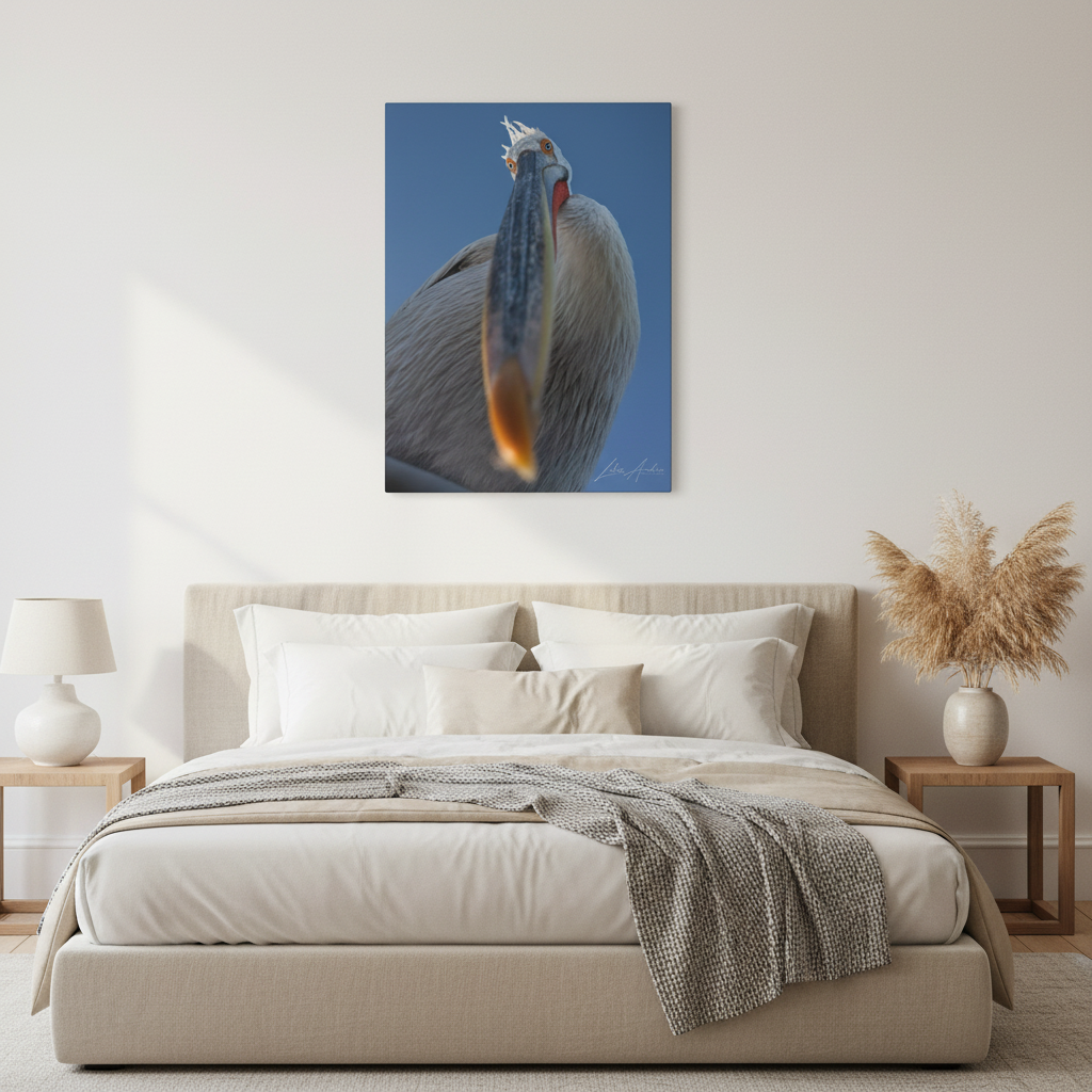 Pelican Gaze Against Open Sky — By Photographer Lukas Andersen