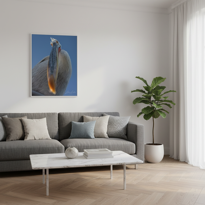 Pelican Gaze Against Open Sky — By Photographer Lukas Andersen