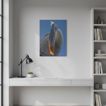 Pelican Gaze Against Open Sky — By Photographer Lukas Andersen