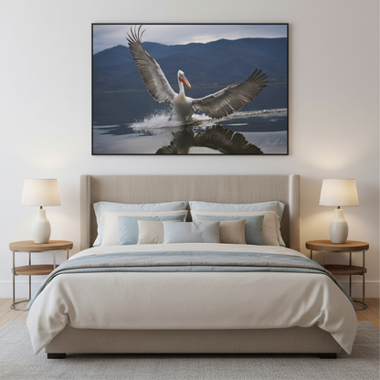 Pelican Gliding Over Still Water — By Photographer Lukas Andersen