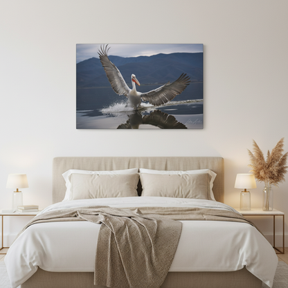 Pelican Gliding Over Still Water — By Photographer Lukas Andersen