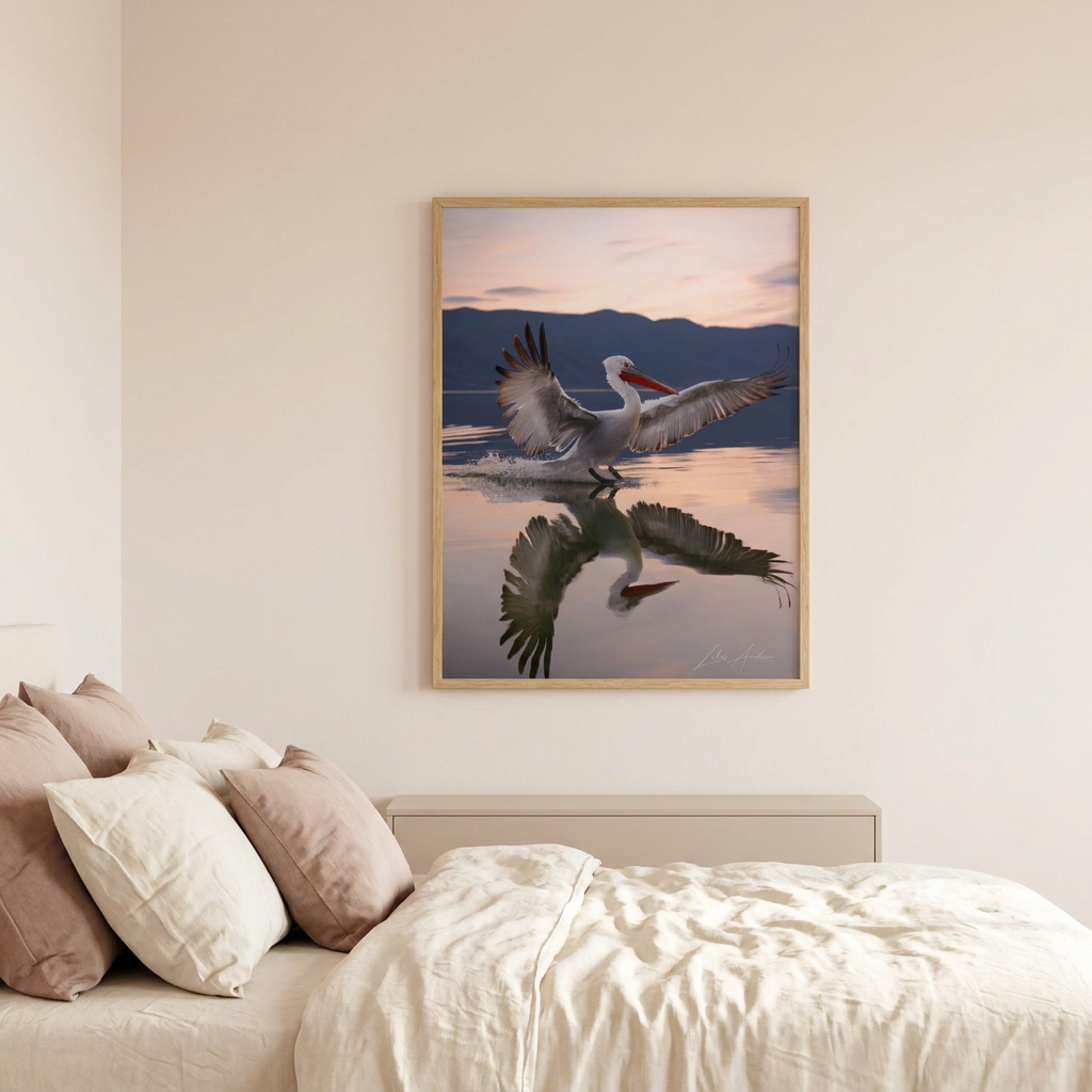 Pelican Landing Fine Art Print | By Photographer Lukas Andersen