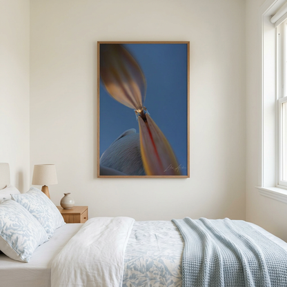 Pelican Portrait Fine Art Print | By Photographer Lukas Andersen