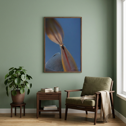 Pelican Portrait Fine Art Print | By Photographer Lukas Andersen