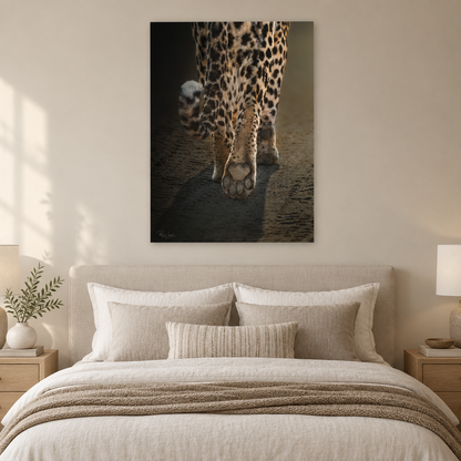 Path of the Hunter — By Photographer Patsy Weingart