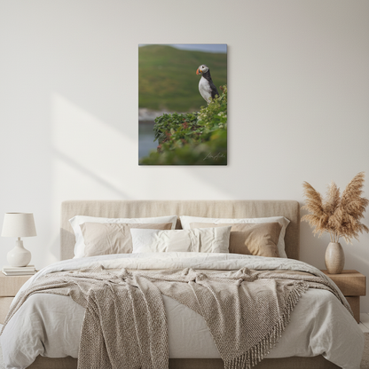 Puffin on Coastal Hilltop — By Photographer Lukas Andersen