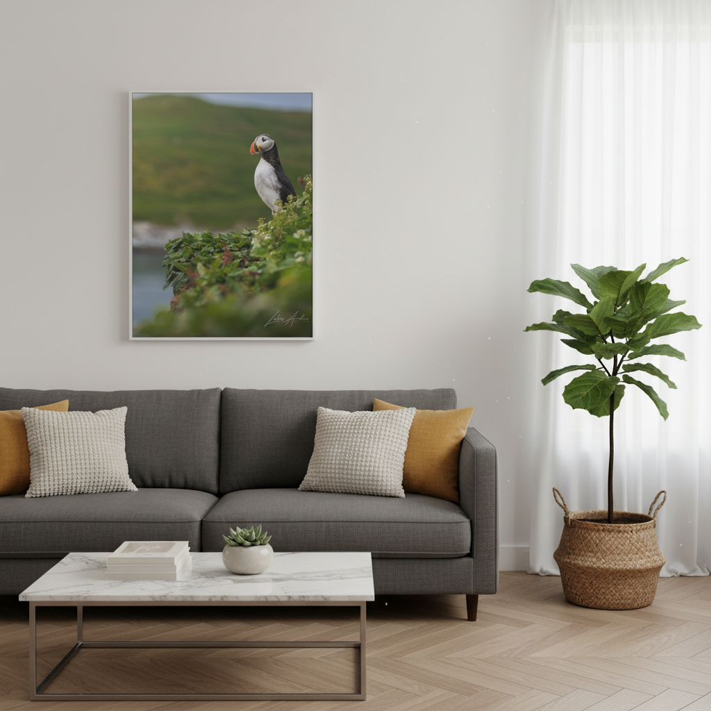 Puffin on Coastal Hilltop — By Photographer Lukas Andersen