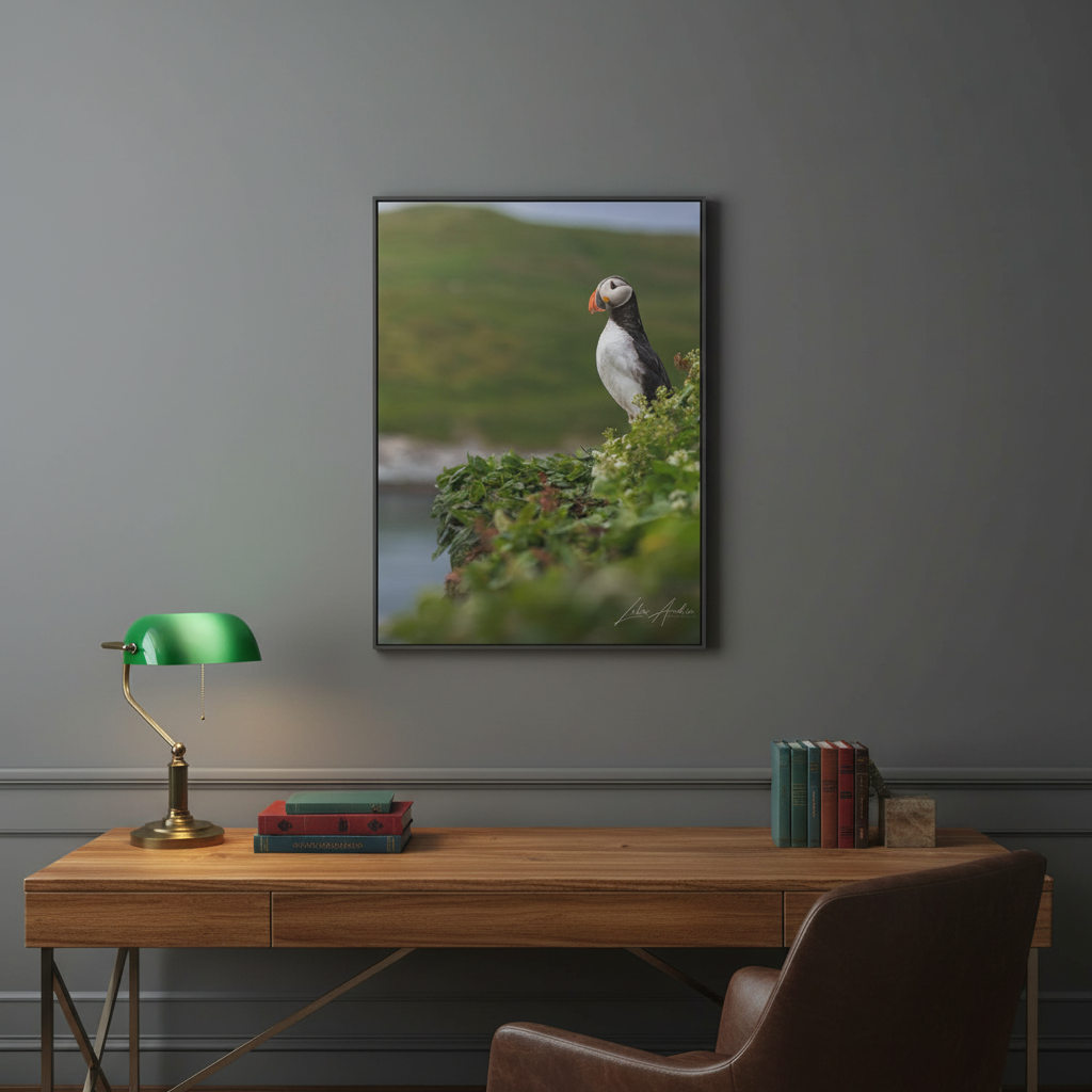 Puffin on Coastal Hilltop — By Photographer Lukas Andersen