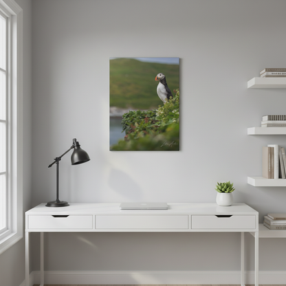 Puffin on Coastal Hilltop — By Photographer Lukas Andersen