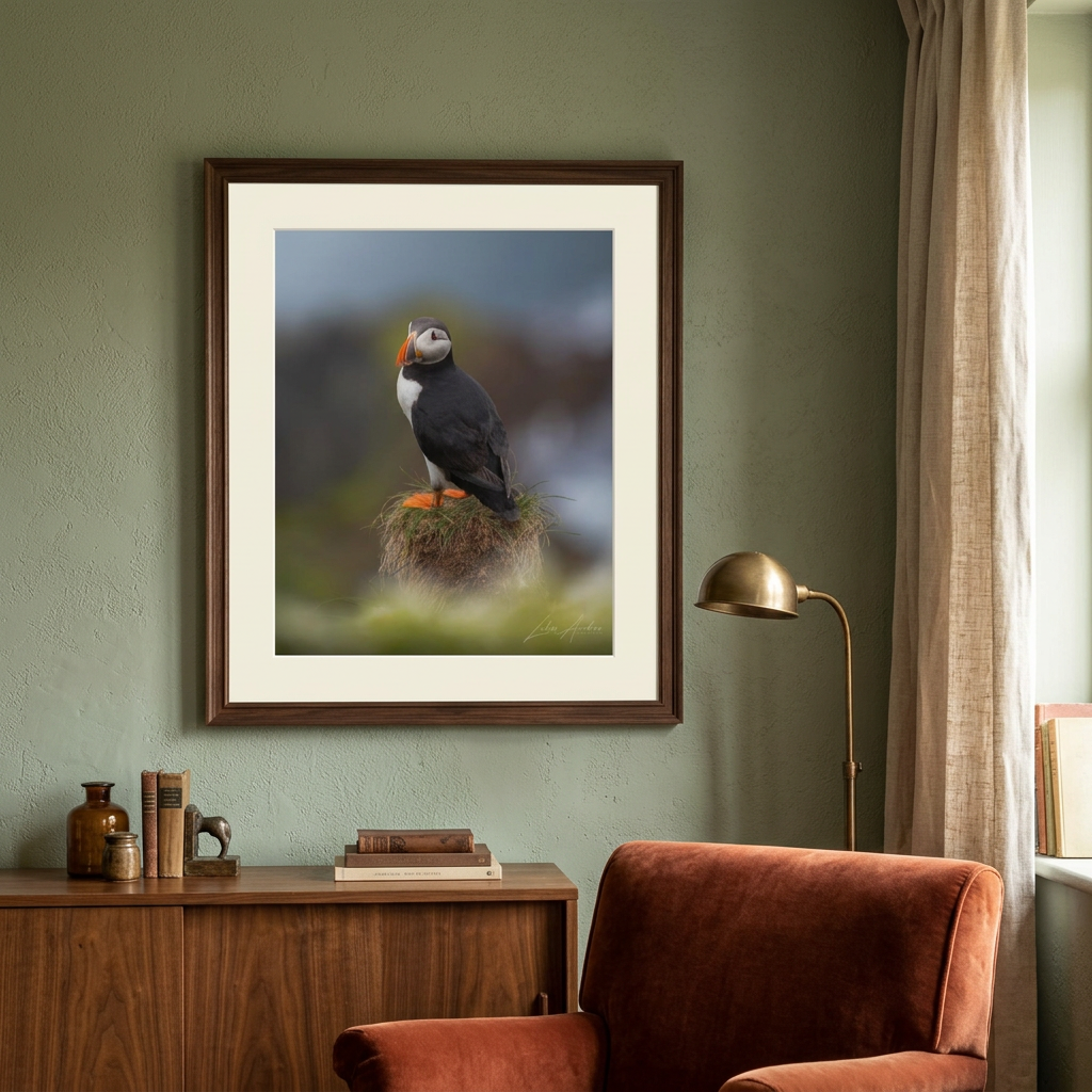 Puffin on the Cliffs Fine Art Print | By Photographer Lukas Andersen