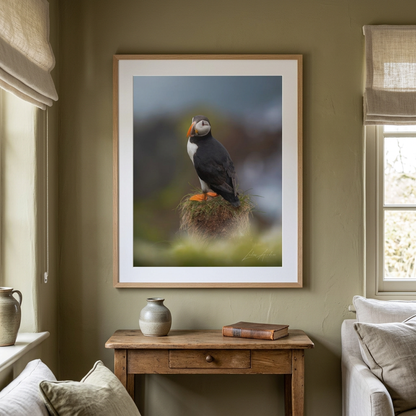 Puffin on the Cliffs Fine Art Print | By Photographer Lukas Andersen