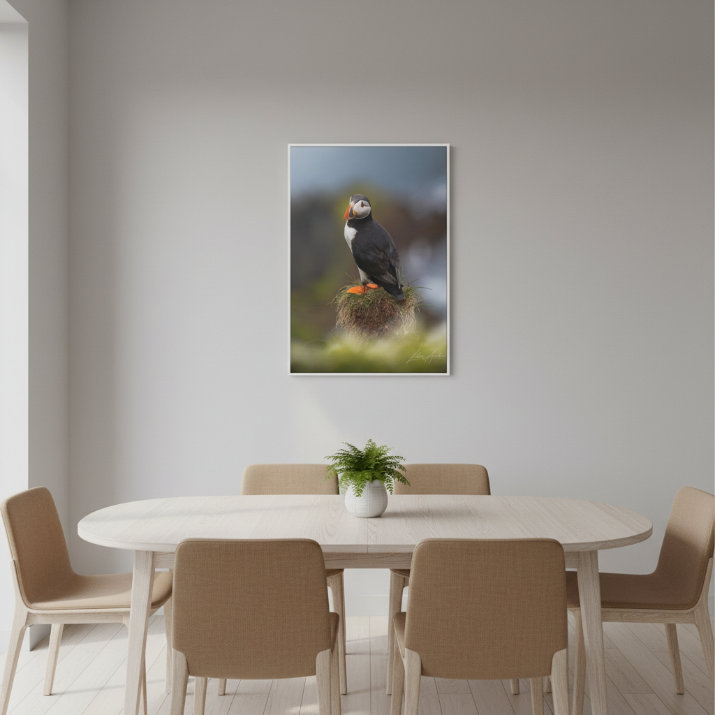 Puffin Standing on Grassy Ledge — By Photographer Lukas Andersen