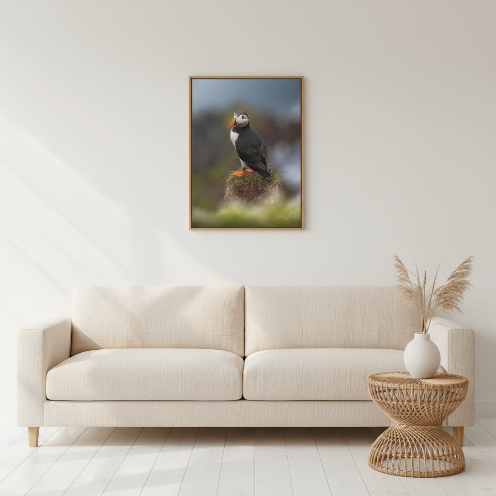 Puffin Standing on Grassy Ledge — By Photographer Lukas Andersen
