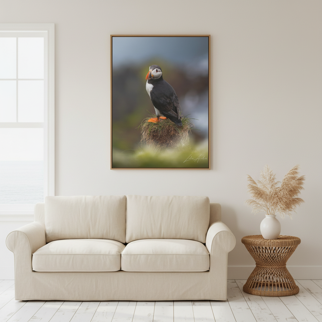 Puffin Standing on Grassy Ledge — By Photographer Lukas Andersen