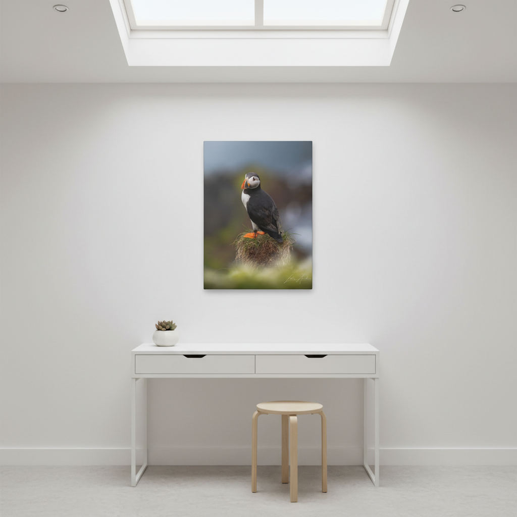 Puffin Standing on Grassy Ledge — By Photographer Lukas Andersen