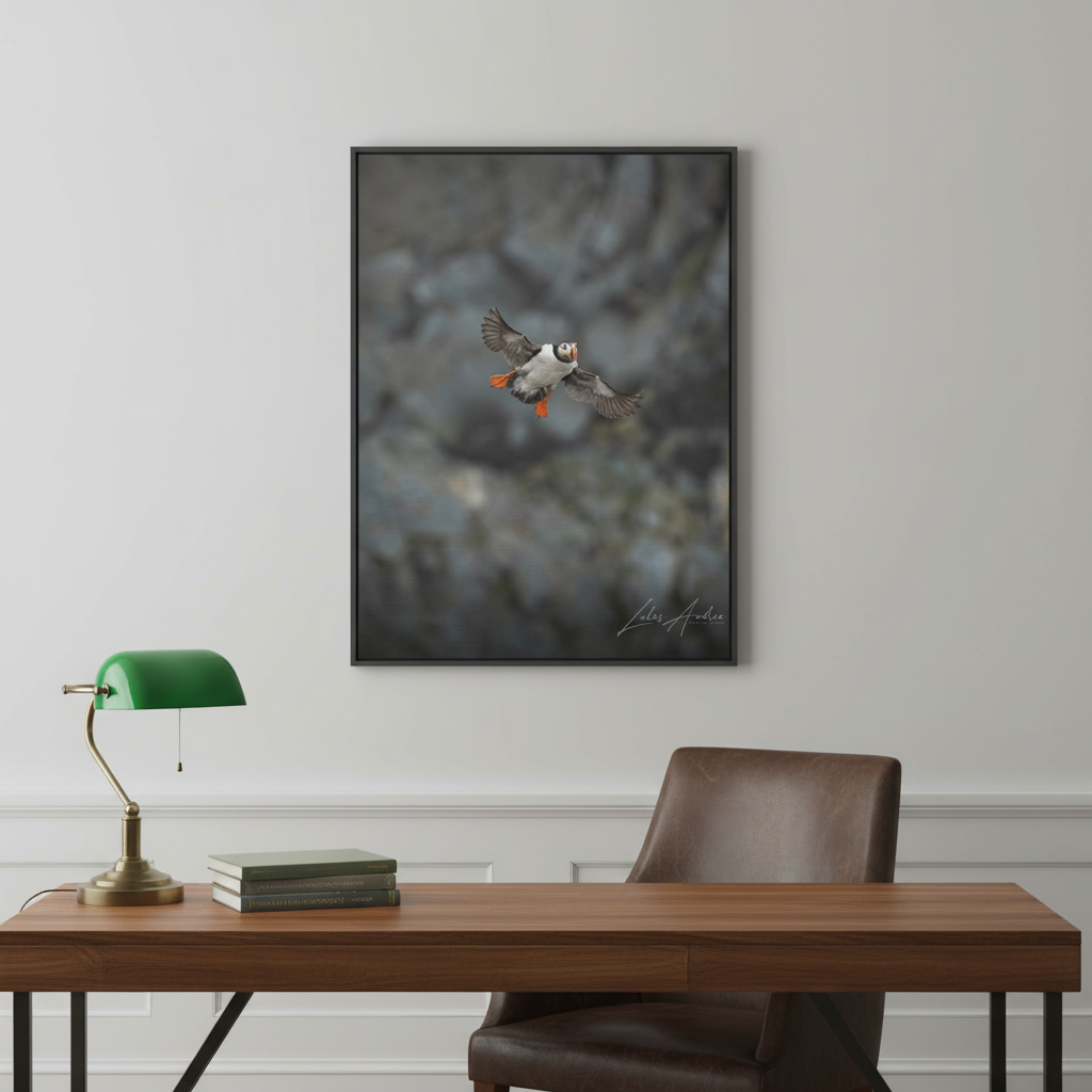 Puffin in Mid‑Flight Over Coastal Cliffs – By Photographer Lukas Andersen