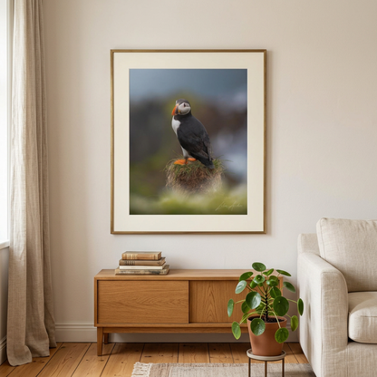 Puffin on the Cliffs Fine Art Print | By Photographer Lukas Andersen