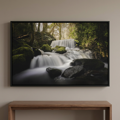 Pwllfanogl Waterfall, Ynys Môn – Sunlight Through the Forest Canopy | By Photographer Gareth Mon Jones