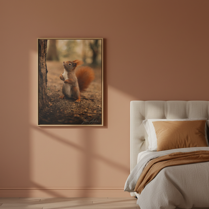 Red Squirrel Between Forest Trunks — By Photographer Lukas Andersen