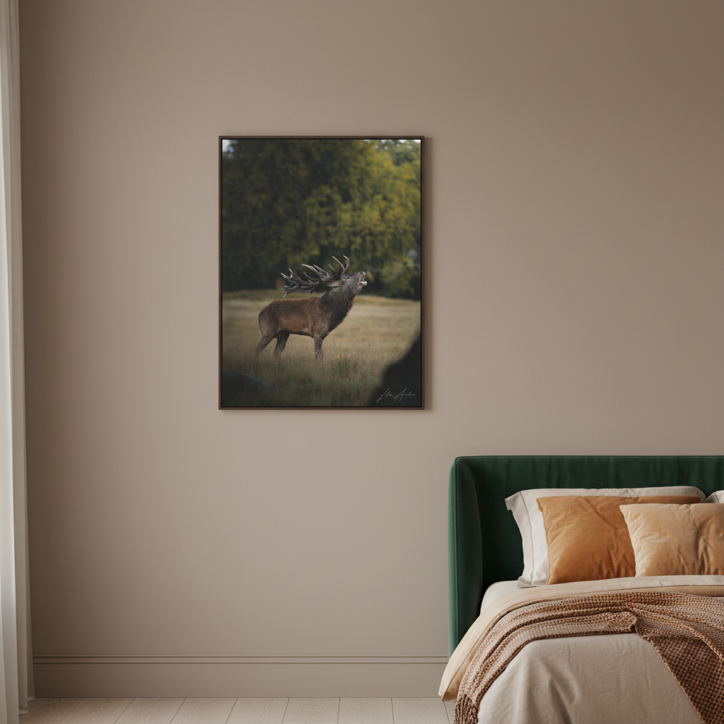Red Stag Roaring in Woodland Light — By Photographer Lukas Andersen
