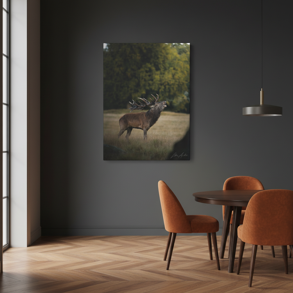 Red Stag Roaring in Woodland Light — By Photographer Lukas Andersen