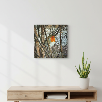 Robin In The Winter Thicket – Snowbound Stillness, Scotland By Photographer Fergus King