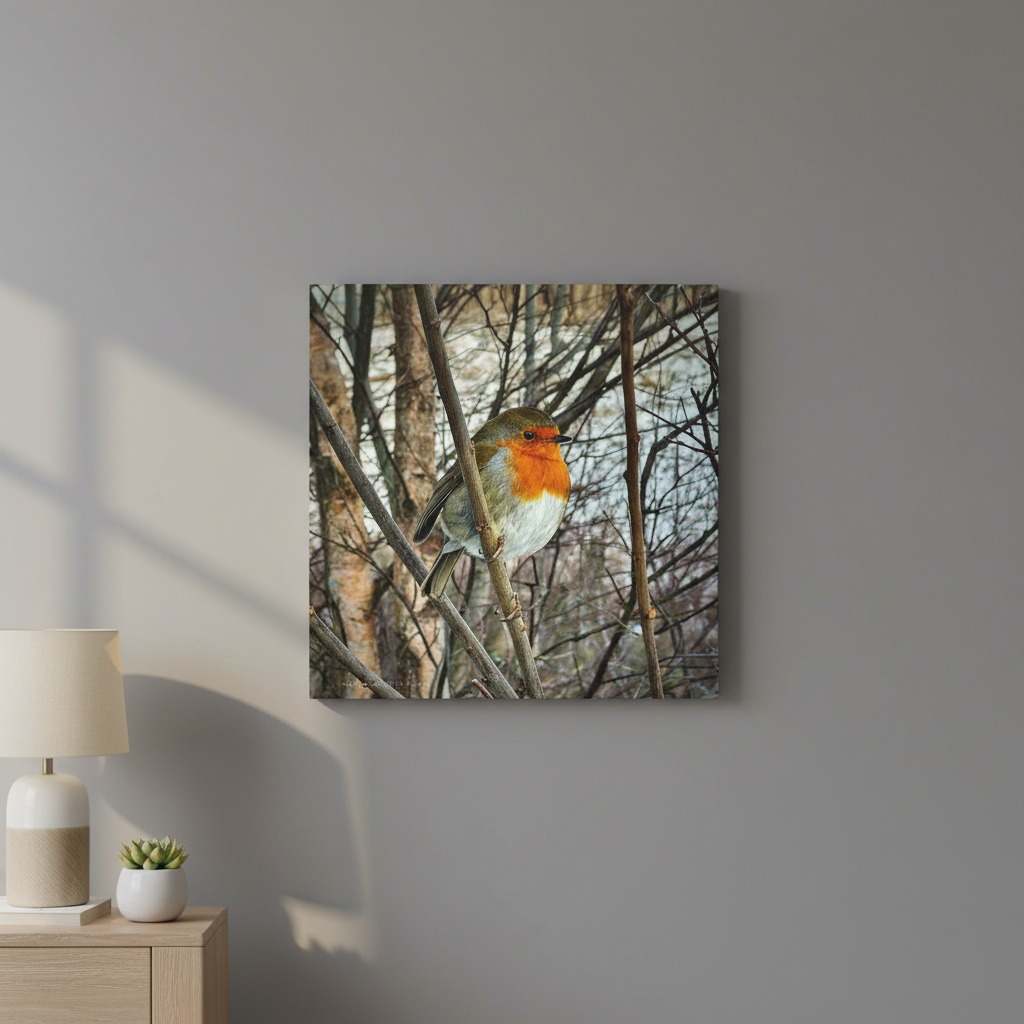 Robin In The Winter Thicket – Snowbound Stillness, Scotland By Photographer Fergus King