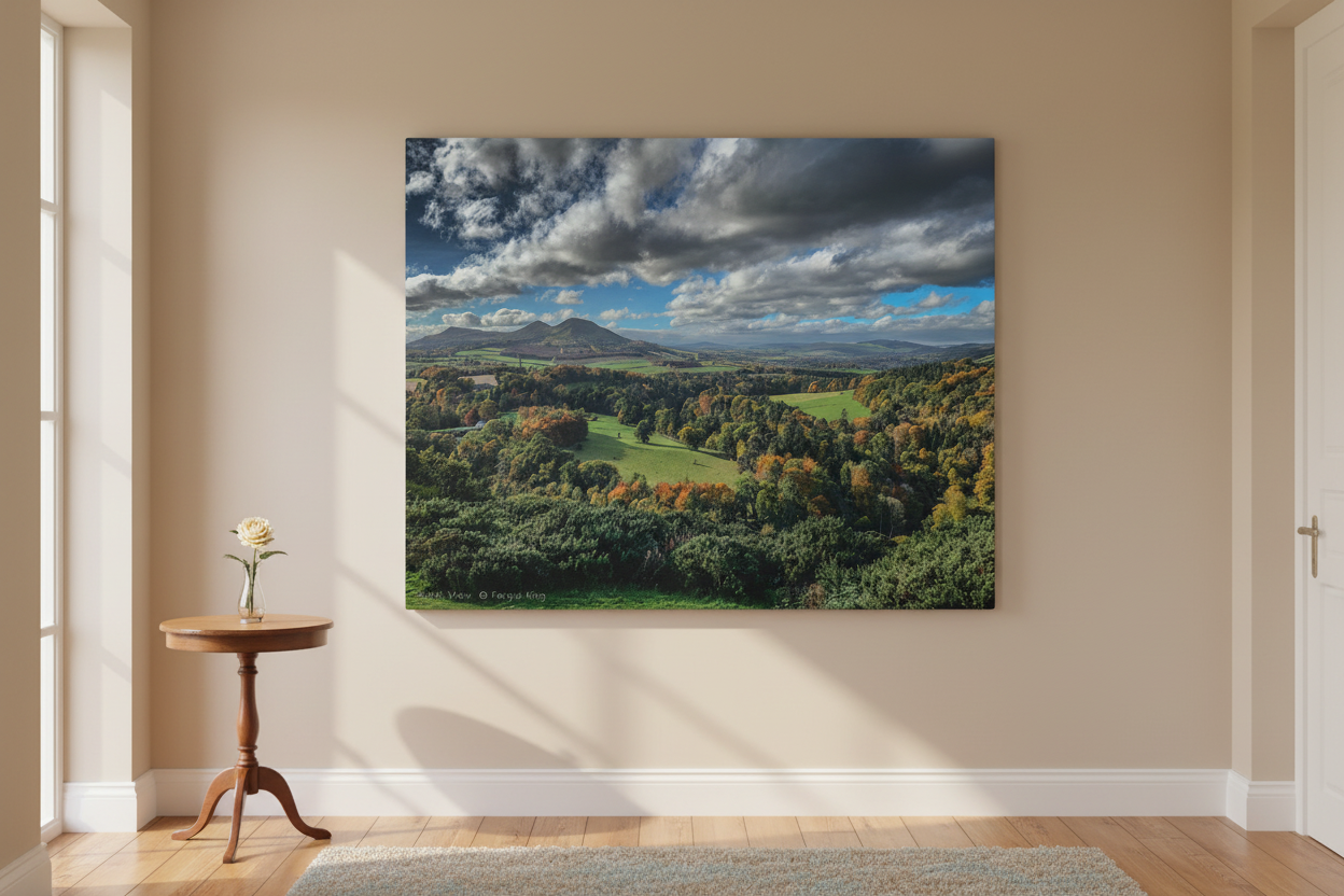 Scott’s View Canvas Print By Photographer Fergus King