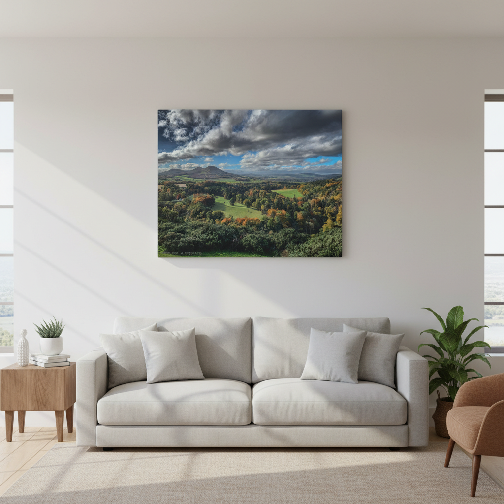 Scott’s View Canvas Print By Photographer Fergus King