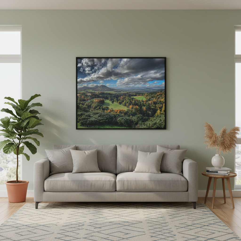 Scott’s View Canvas Print By Photographer Fergus King