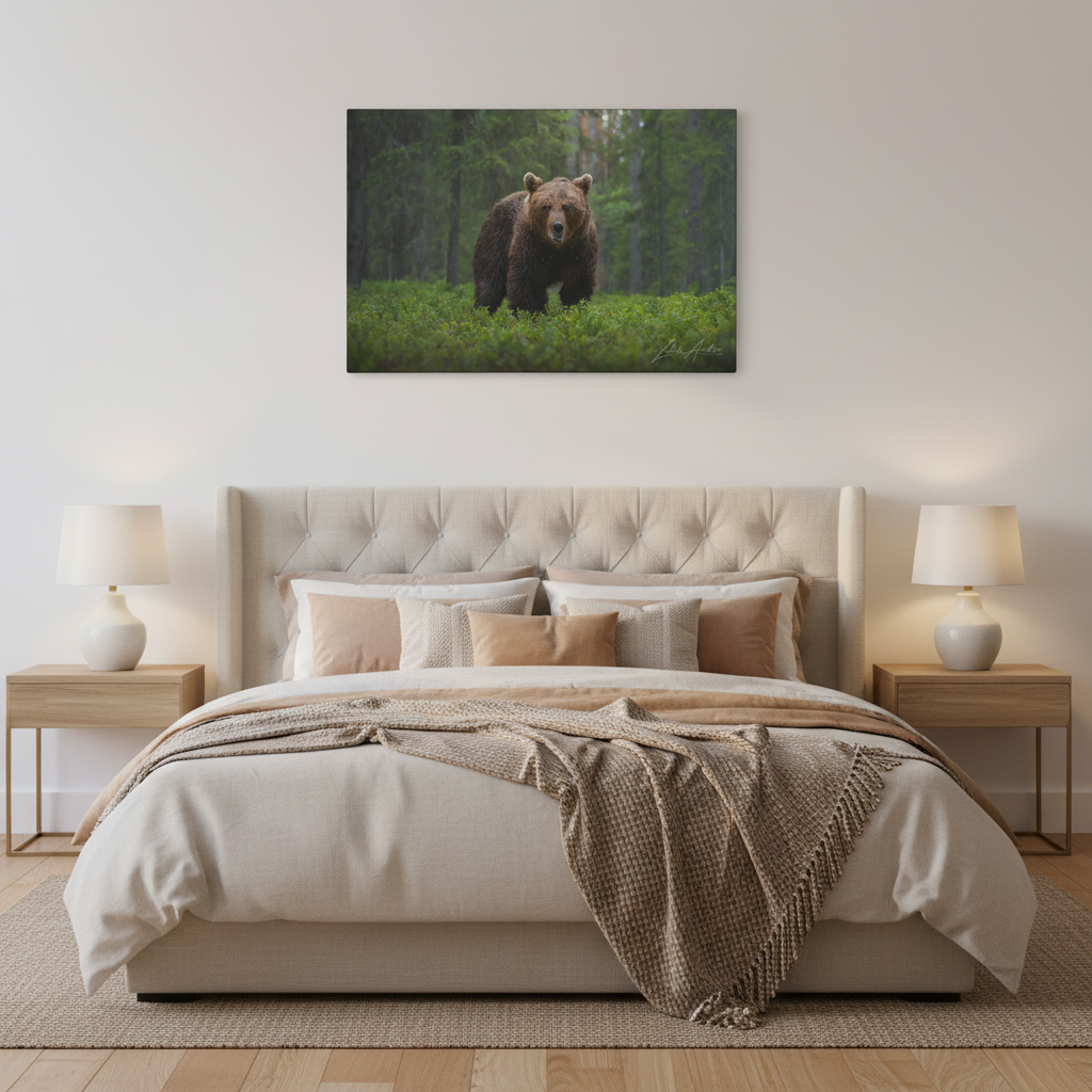Solitary Brown Bear in Woodland Shade — By Photographer Lukas Andersen
