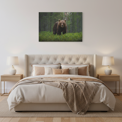 Solitary Brown Bear in Woodland Shade — By Photographer Lukas Andersen