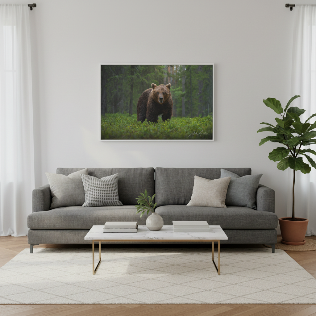 Solitary Brown Bear in Woodland Shade — By Photographer Lukas Andersen
