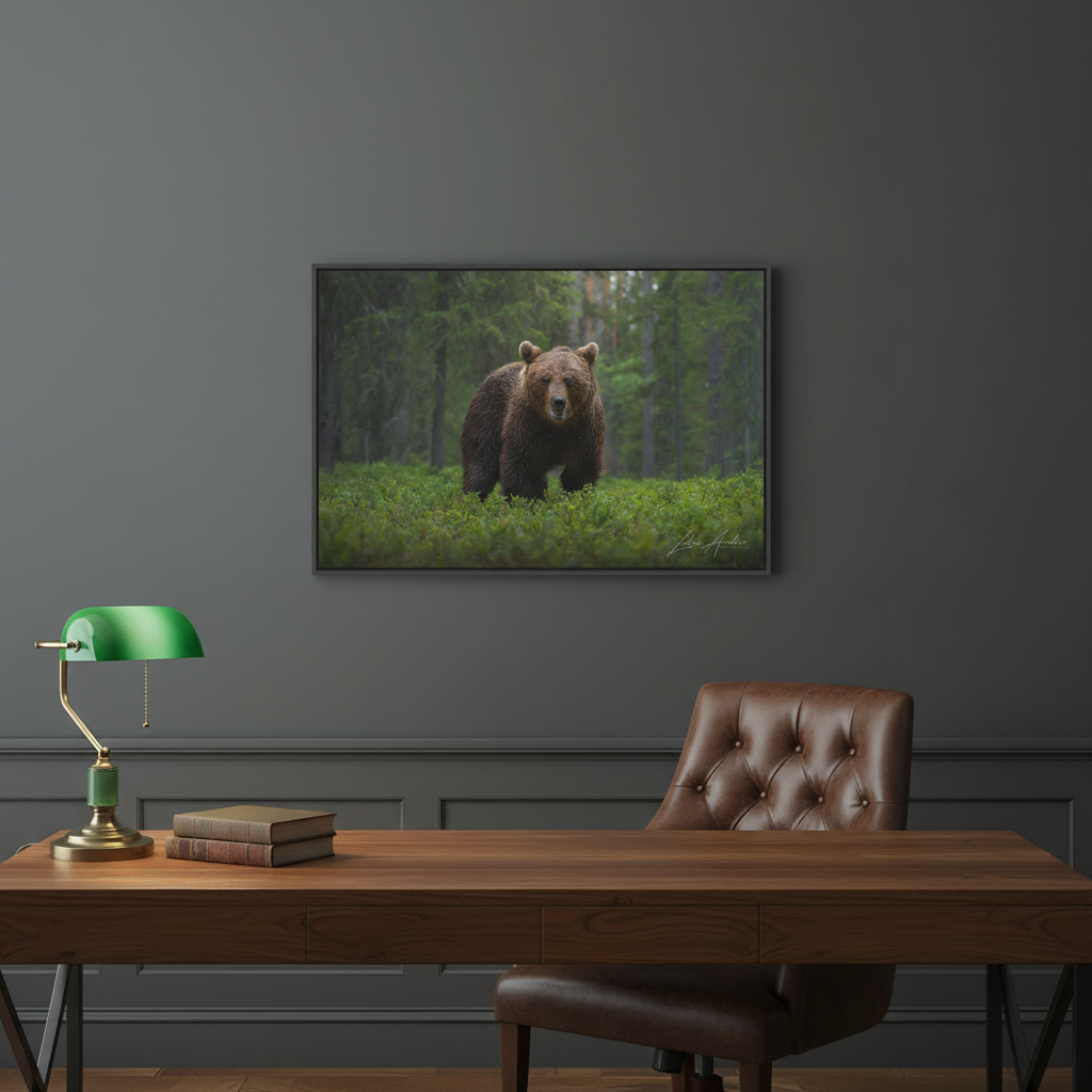 Solitary Brown Bear in Woodland Shade — By Photographer Lukas Andersen
