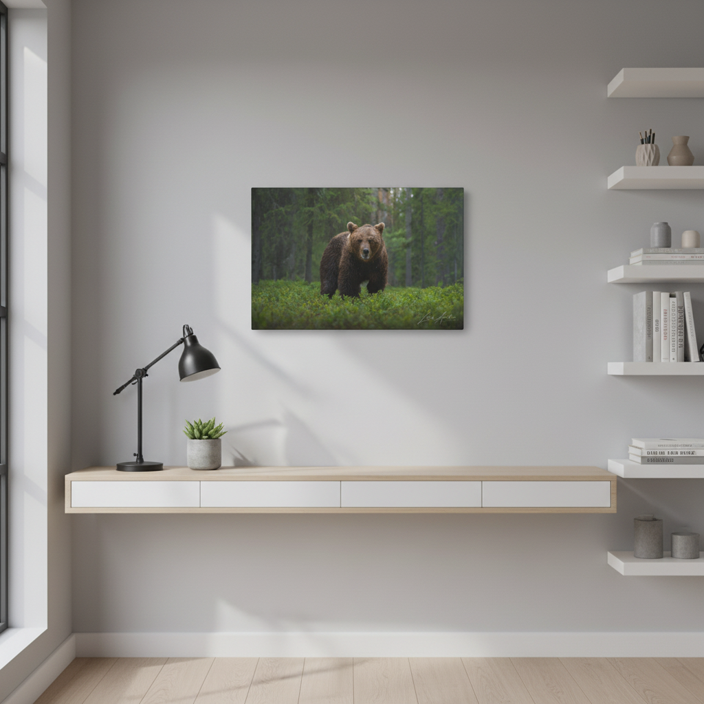 Solitary Brown Bear in Woodland Shade — By Photographer Lukas Andersen