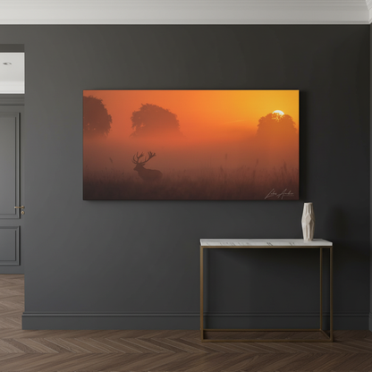 Stag Silhouette at Sunset — By Photographer Lukas Andersen
