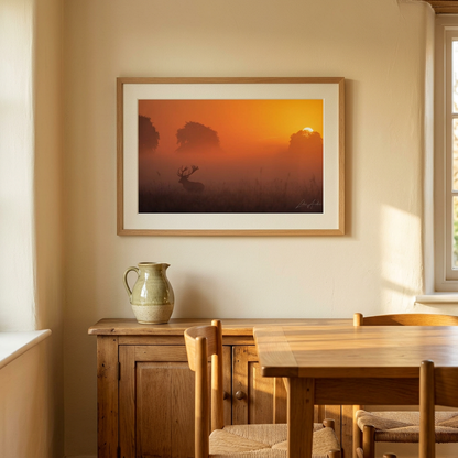Sunset Stag Fine Art Print | By Photographer Lukas Andersen