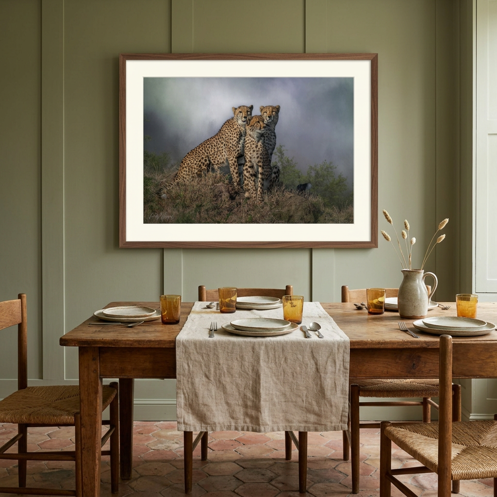 Three Cheetahs Fine Art Print | By Photographer Patsy Weingart