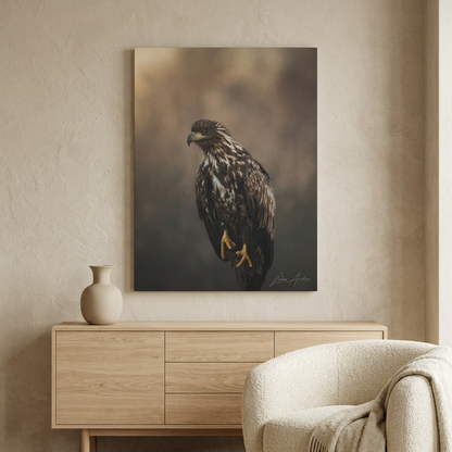 White‑Tailed Eagle Juvenile — By Photographer Lukas Andersen