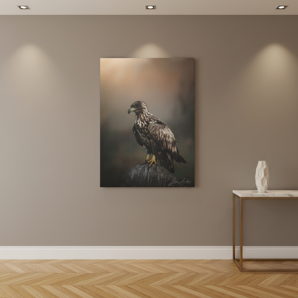 White‑Tailed Eagle Juvenile on Rock — By Photographer Lukas Andersen